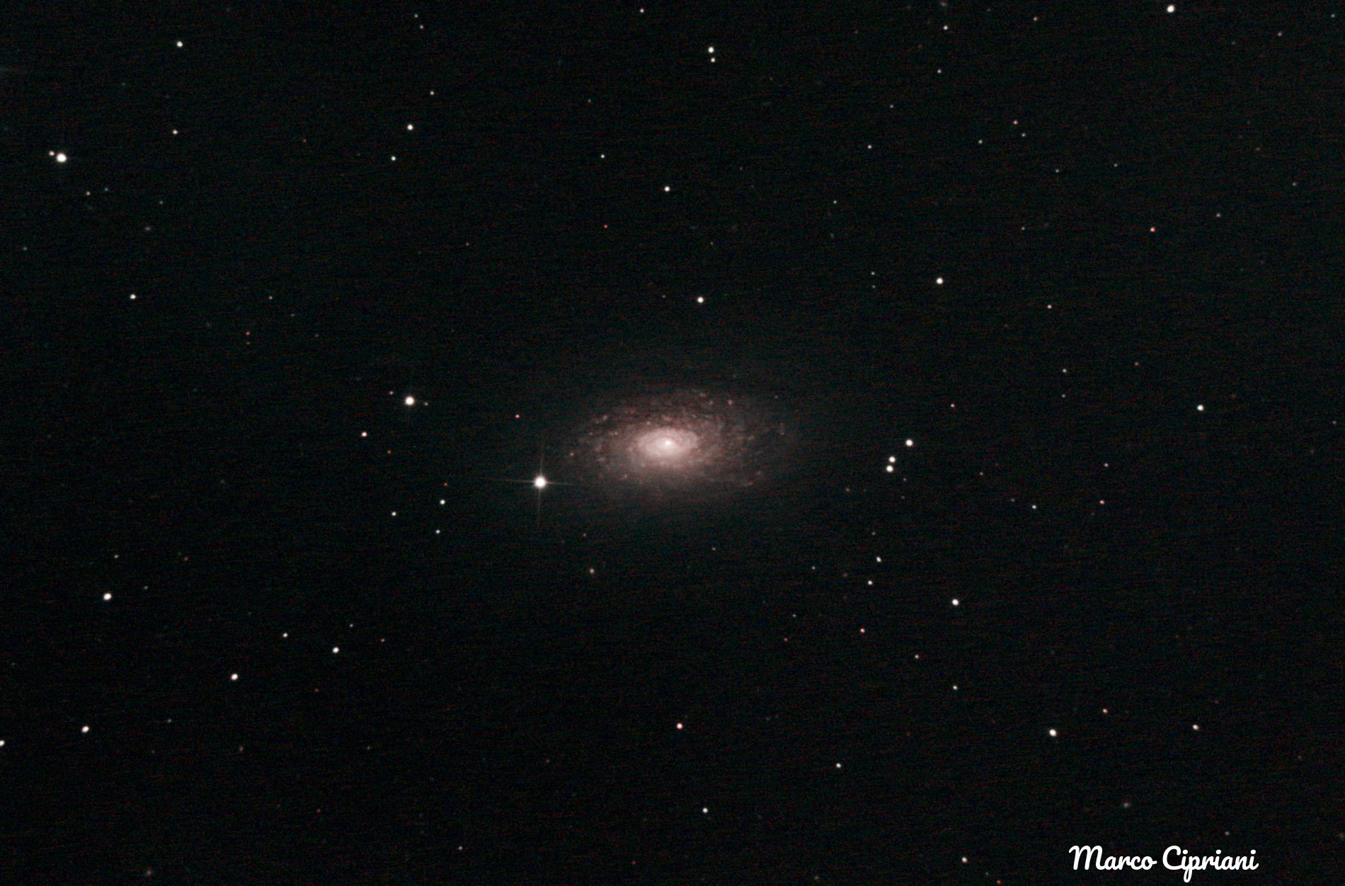 Sunflower Galaxy