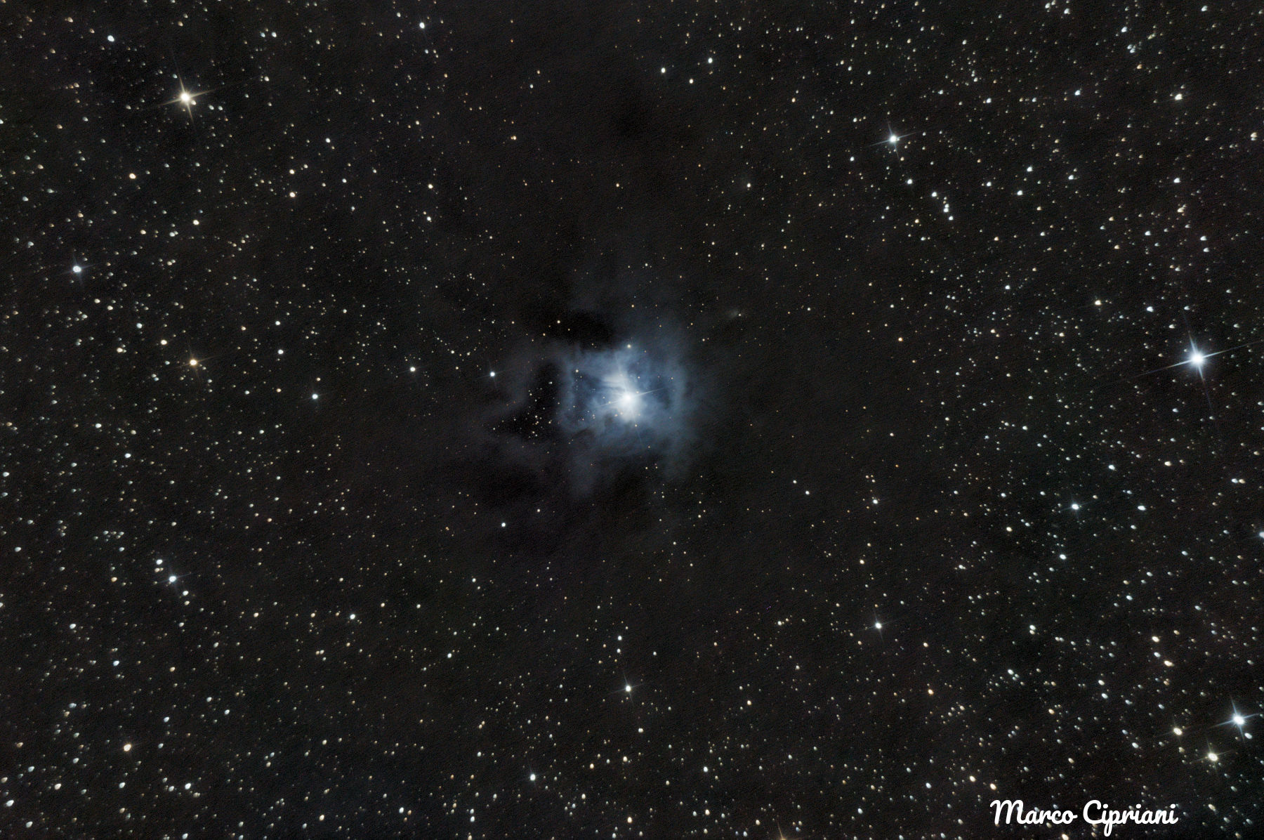 Iris Nebula